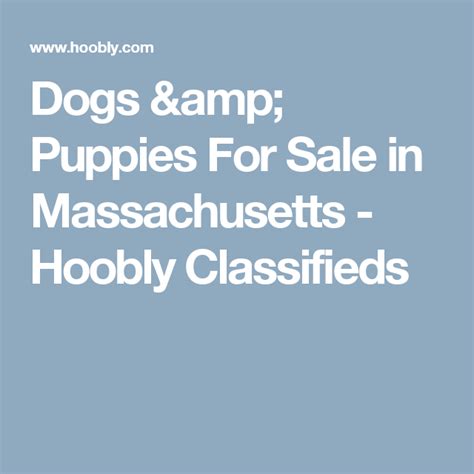 hoobly|is hoobly legit for dogs.